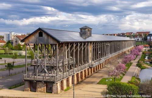 TinyHouse Pfalzperle - Auszeit nahe Deutsche Weinstraße & Therme - Foto 25