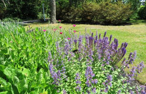 4 Long Pond Drive Harwich Cape Cod - Cape Retreat - Foto 39