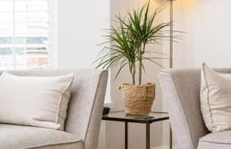 6 Woodville - Foto 2