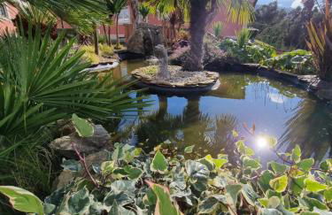 Recanto Nature - Foto 24