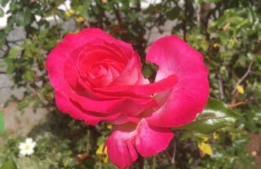 Villetta "Il Grillo" - Foto 16