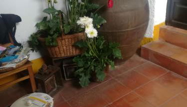 Terraços da Beira - Foto 4