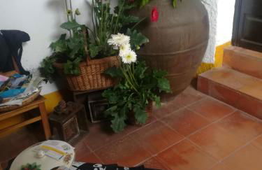 Terraços da Beira - Foto 4