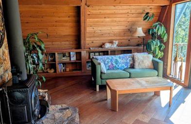 A-Frame Cabin with Sauna Deja Vu - Foto 9