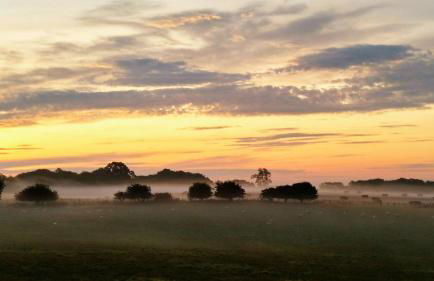 Bastle Retreats Cabin with hot tub - Foto 30