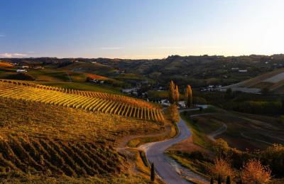 Casa Musotta - Dimora nelle Langhe - Foto 26