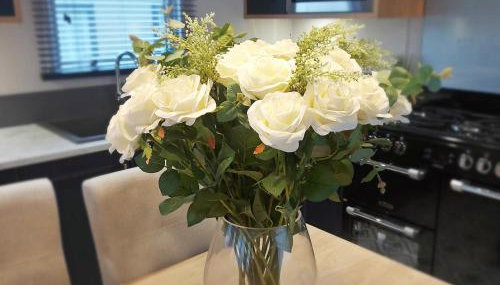 Pendle View Retreat - Holiday Park - Photo 2