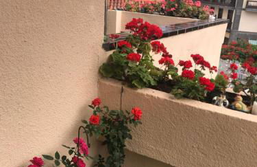 Apartamento Puerto de la Cruz - Foto 11