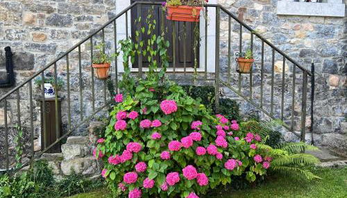 Casa Cerezal - Foto 4, Garden