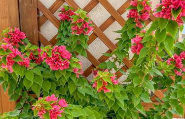 Sanctuary Penthouse by Hello Homes Sitges - Photo 19