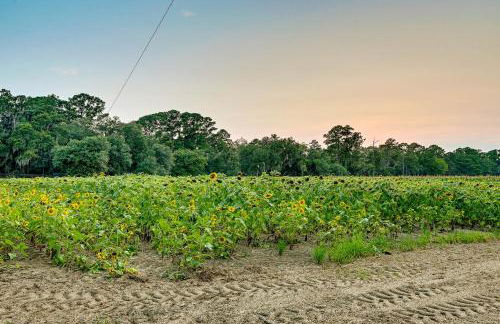 Expansive Georgetown Home with Decks and Fire Pit! - Foto 45