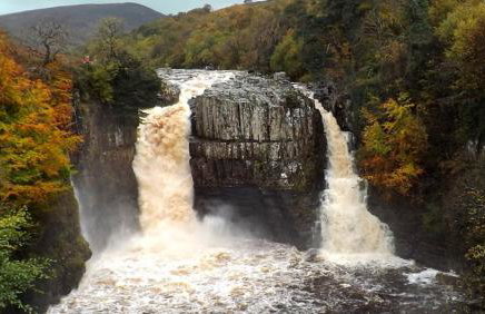 Willow Cottage - Photo 10