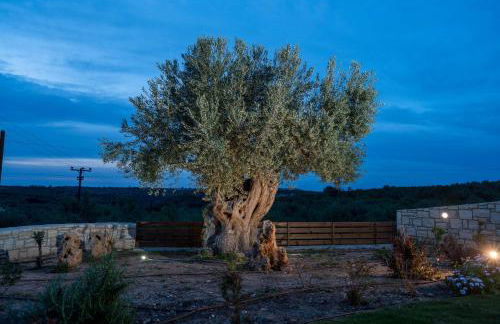 Olive Garden Villas - Photo 72