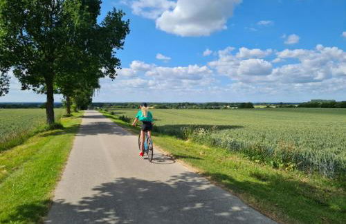 Haus Sonnenlicht. Idylle am Ratzeburger See! - Foto 45