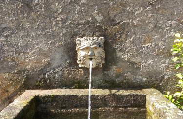 Casa da Vinha - Foto 46