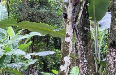 Chalé Malbec, Estrada do Vinho com cafe da manha e hidro - Foto 20