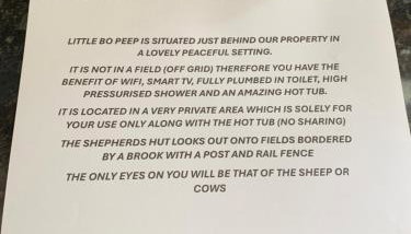 Little Bo Peep - Foto 2