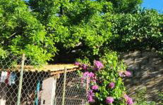 Recanto das Pretinhas - Photo 47