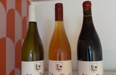 Kaiserstay - Sonne, Wein und Ruhe - Foto 21