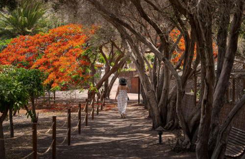 Redondo de Guayedra - Foto 18