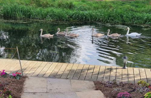 River Cottage - Foto 3