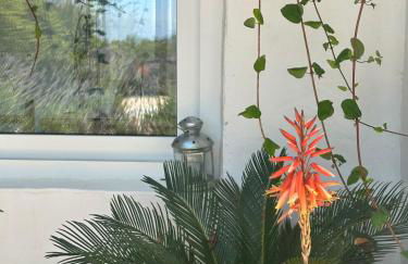 3 Bed Lodge - Sleeps 6 - Pool - Terrace - Parking - Foto 16