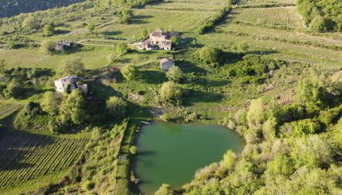 Agriturismo Podere Tegline - Foto 2