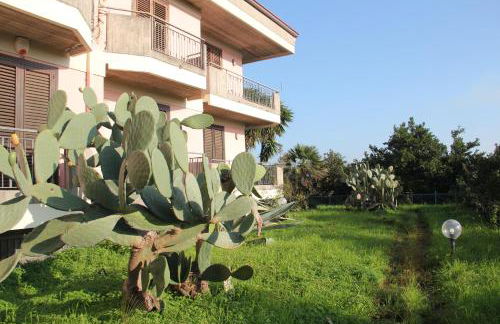 aranceto dell'Etna - Foto 30