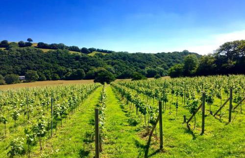 Cosy and unique Thatched Cottage on Dartmoor - Foto 14