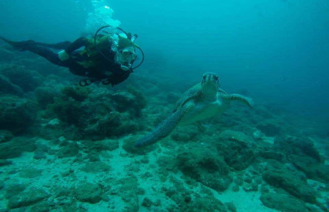 Diving in Puerto López - Foto 4