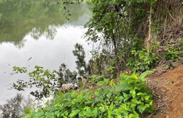 Pet friendly Tiny House Rental with new Access to Guadalupe River NBTX - Photo 33