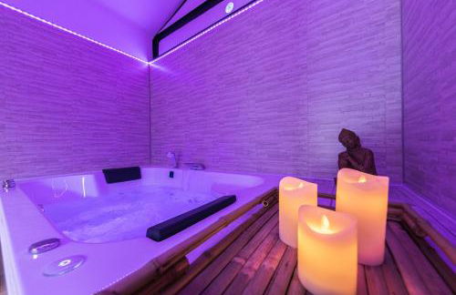 Zen & Spa - Maison Cosy - Tours - Netflix - Photo 1