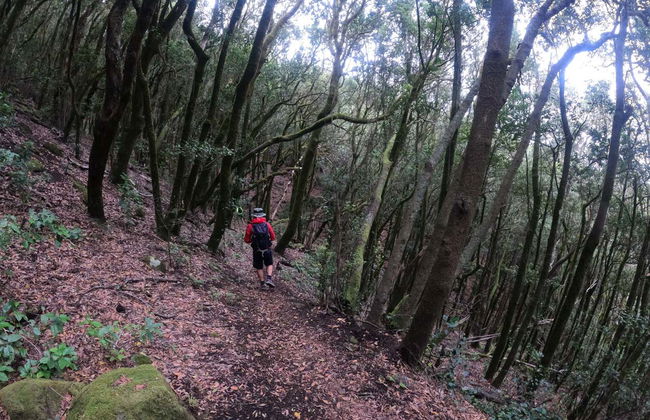 Senderismo por el interior del Parque Rural de Teno - Foto 8