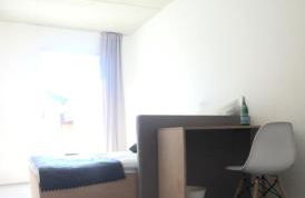 Designer Studio Geestland - Foto 2