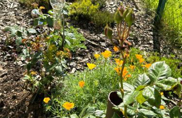 Ferienwohnung Winzenburg in der Nähe vom Steinhuder Meer und Dinopark Münchehagen - Foto 57