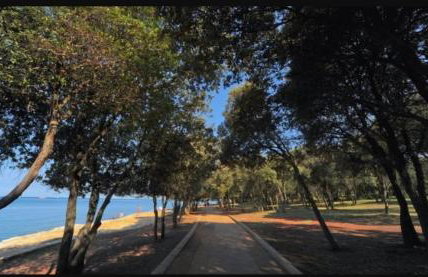 Apartman Perci Vrh - Foto 34