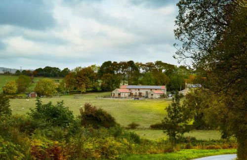 Experience the Peace & Quiet in the North York Moors at Rawcliffe House Farm - Foto 37