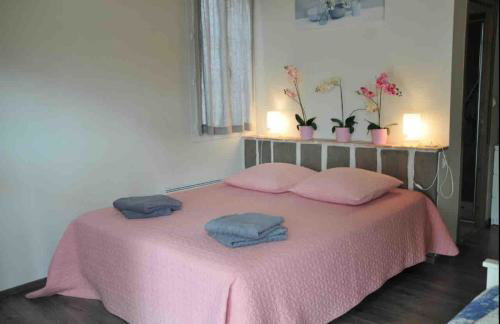 Mas Provençal 8 pers climatisé, 3 chambres avec salles de bains, piscine privée - Foto 20