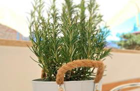 Villa Barbara Fra i Pini - Foto 47