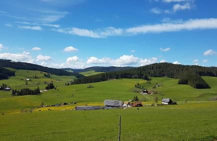 Ferienwohnung am Schneeberg - Foto 28