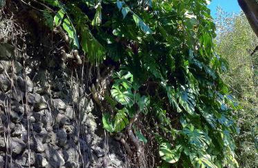 Quinta do Espírito Santo - Photo 33