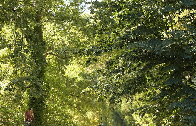 Château Léognan, Domaine viticole - proche Bordeaux - Foto 63