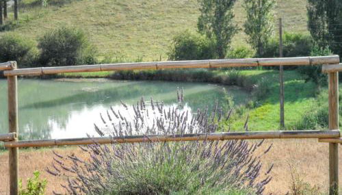 Maison charmante à Molières avec vue sur le lac - Foto 4