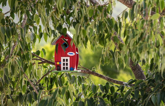 Villa Strikina Kuca - Foto 23