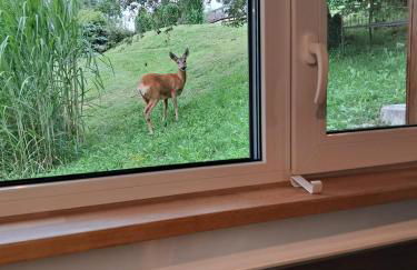 Haus mit Bergblick - Foto 61