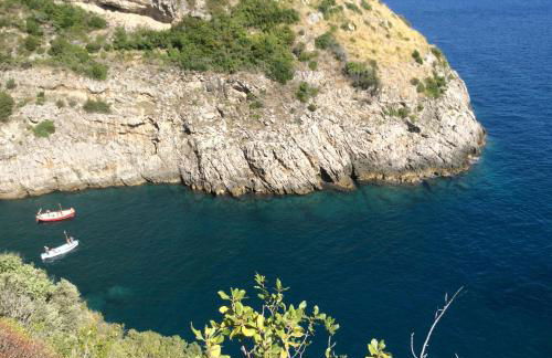 Casa Honey - Foto 24