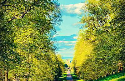 Modern ground floor apartment with free parking very near centre - Foto 11