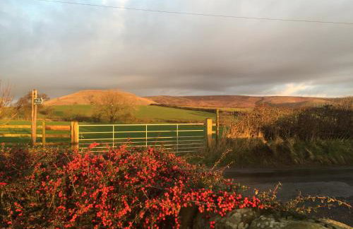 Cuthbert Hill Farm - Foto 47