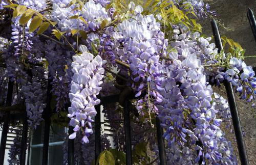 Loire Valley Medieval Getaway - Photo 14