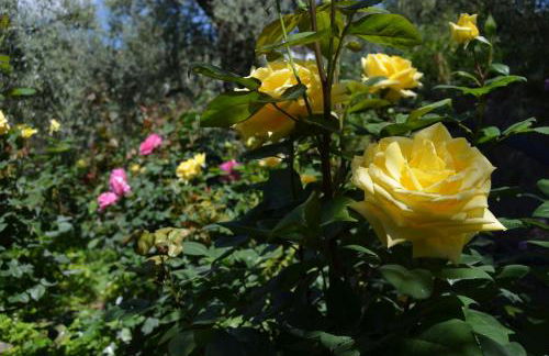 Balcón de Válor - Foto 24